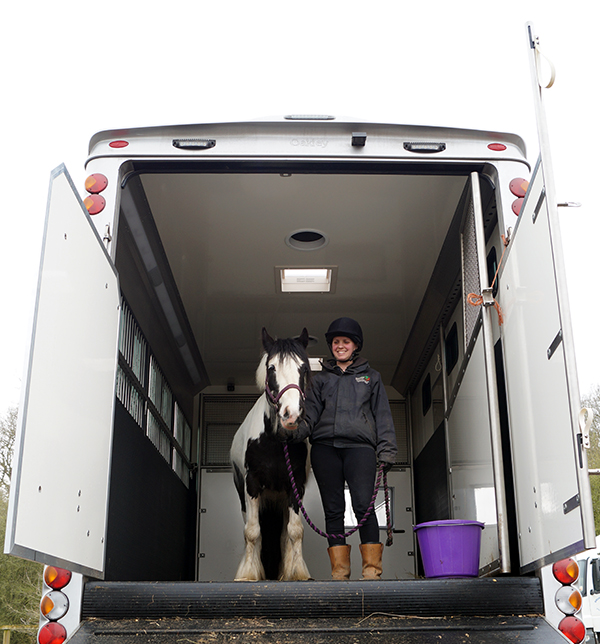A Guide To Horse Travel And Transport Redwings Horse Sanctuary a-guide-to-horse-travel-and-transport-redwings-horse-sanctuary